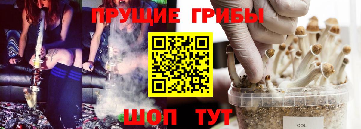 наркота  Вход с VPN  Сыктывкар  Галлюциногенные грибы мицелий 